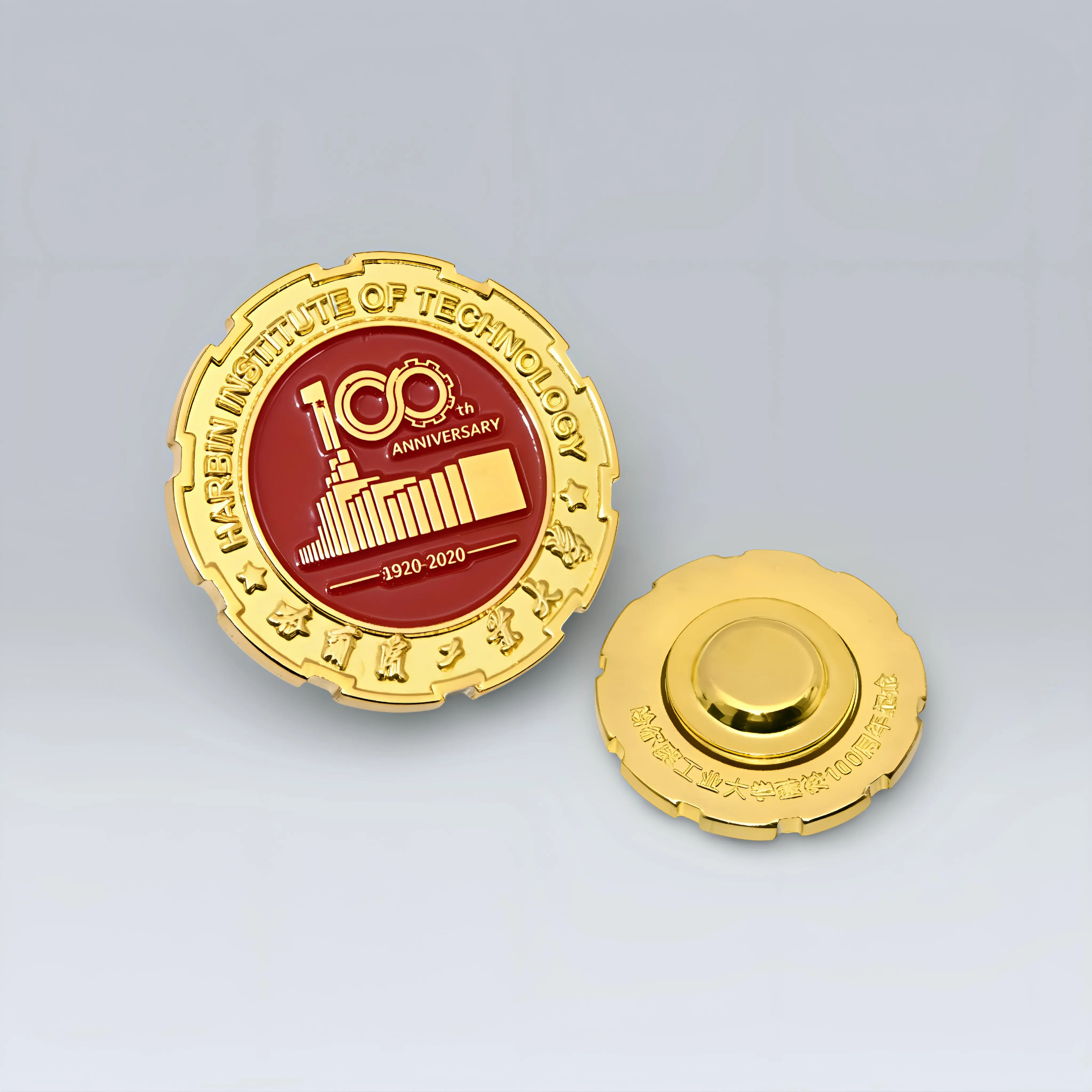百年校庆纪念章 学校纪念
